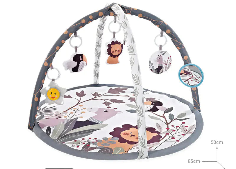Baby Play Gym with Ocean Balls and Activity Fence