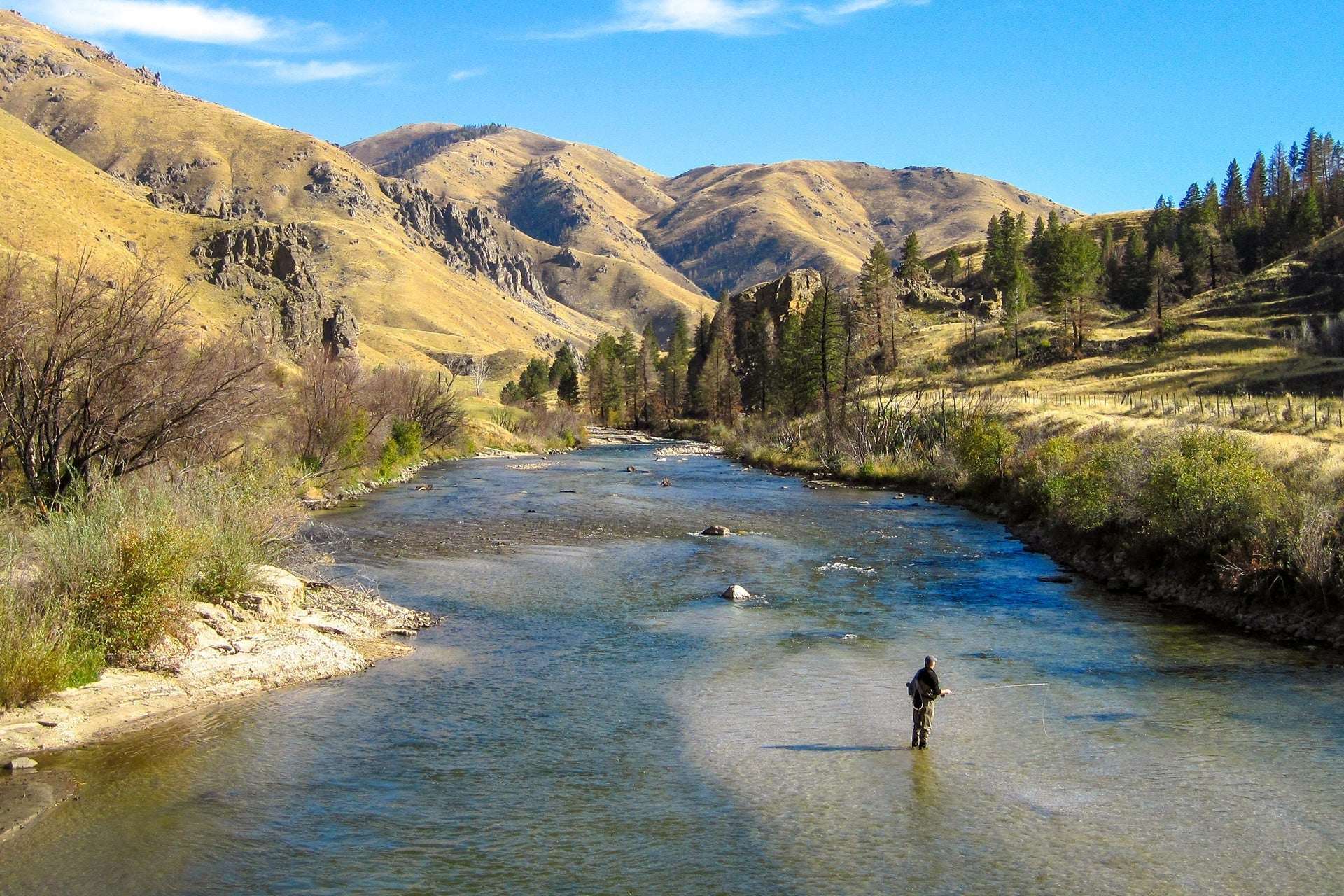 Parachute Light Cahill Classic Trout Dry Fly Fishing Fly - 6 Flies Hook Size 18