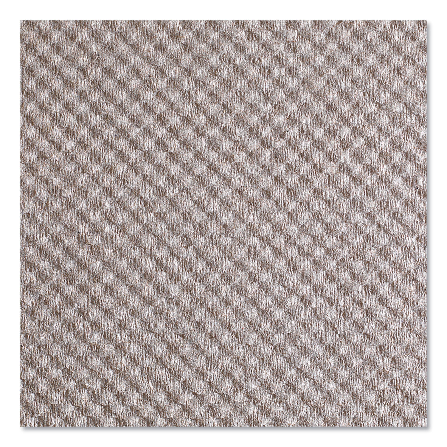 Georgia Pacific Pacific Blue Basic S-Fold Paper Towels, 10.25 x 9.25, Brown, 250/Pack, 16 Packs/Carton