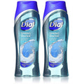 Dial Body Wash, Spring Water Scent 16 Fl Oz