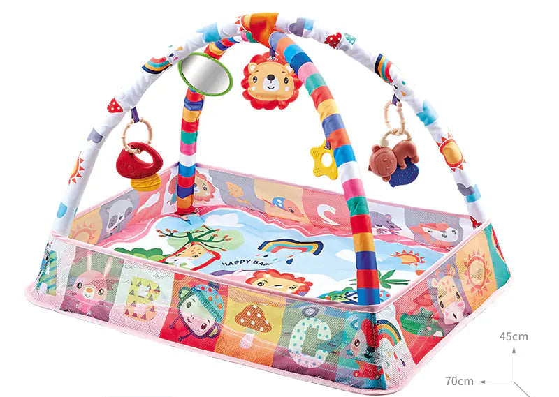 Baby Play Gym with Ocean Balls and Activity Fence