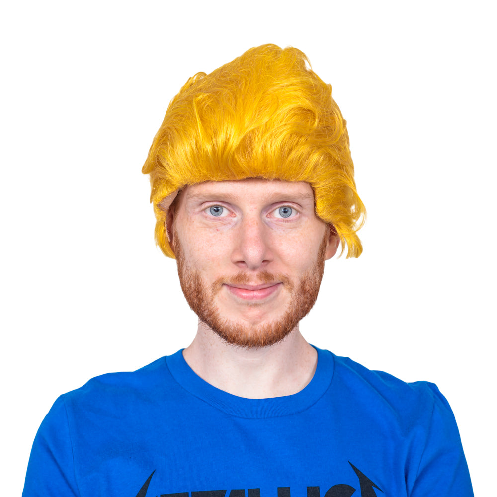 Heavy Metal Loving Teenage Slackers Cartoon Halloween Costume Accessory Wig Cosplay