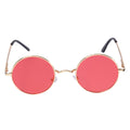 Music Singer John L Vintage Round Glasses Halloween Costume Accessory Sunglasses