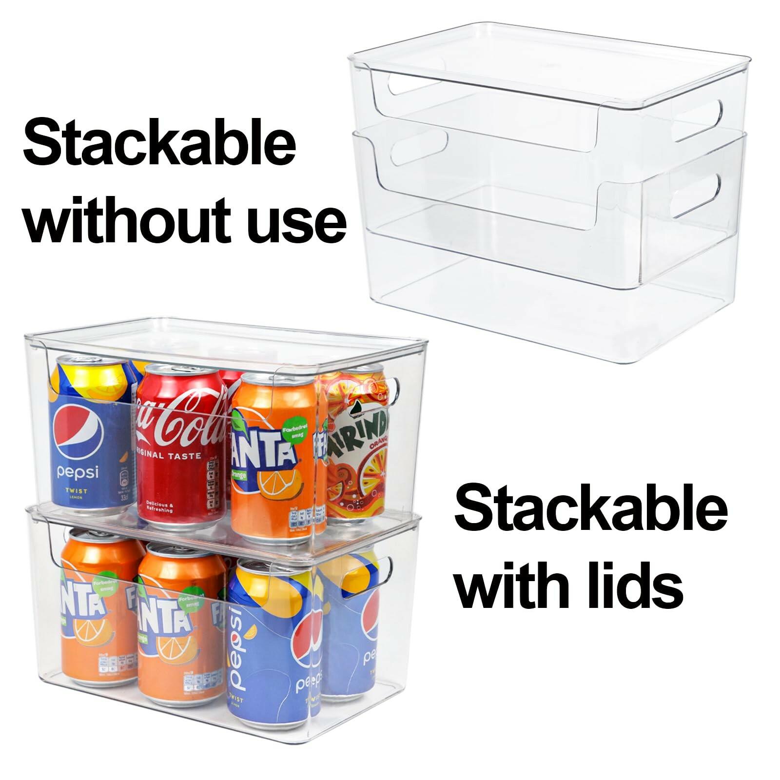 ZEXALOR Clear Plastic Storage Bin with Lid Stackable 2pc 10x6.7x5.3"